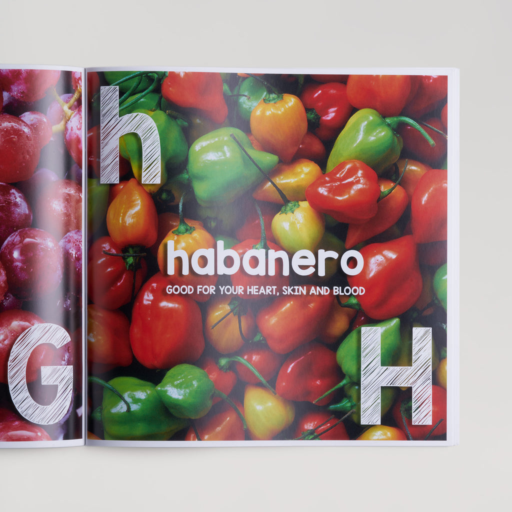 Alphabet & Number Book®