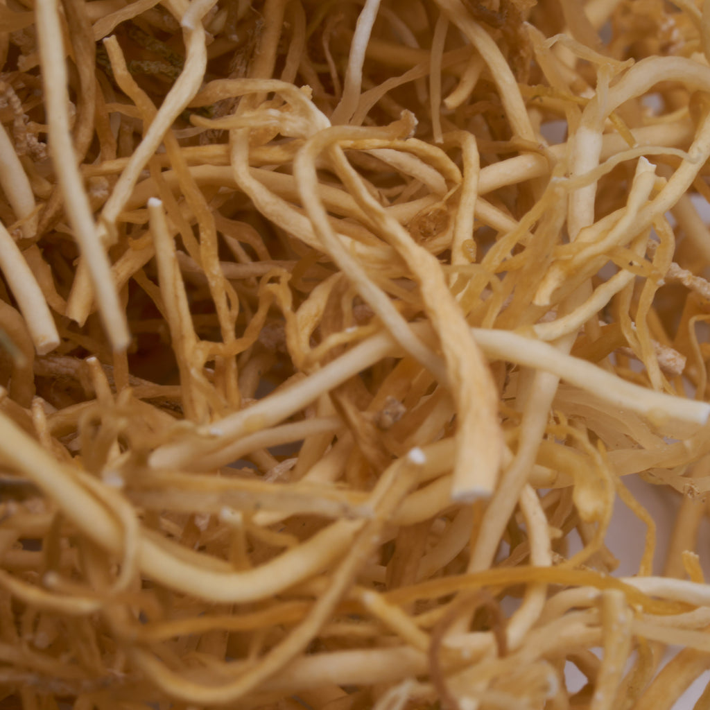 Gold Seamoss® - Standard