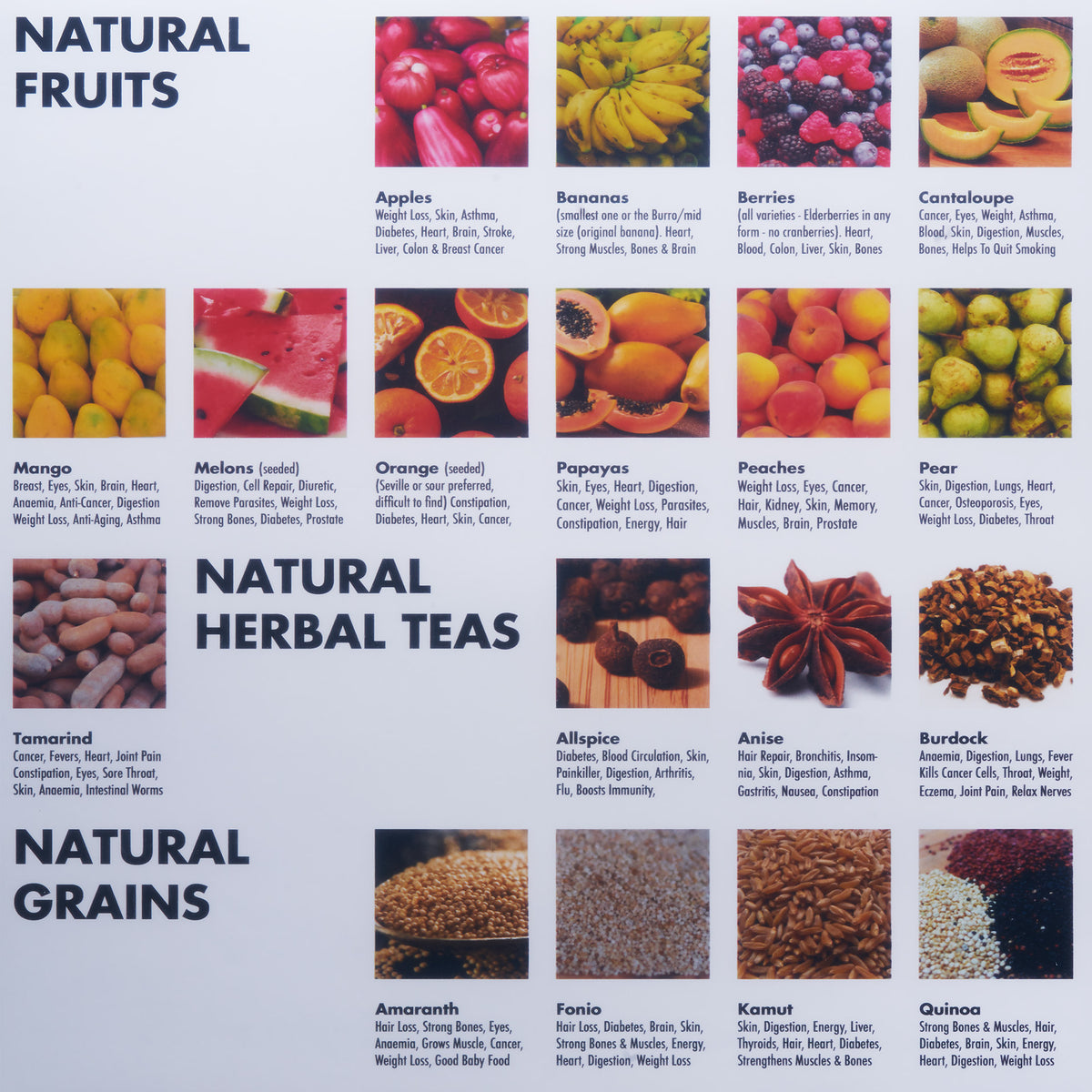 Nutrition Poster®
