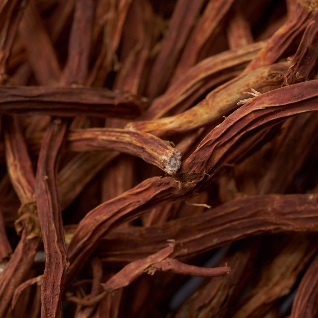 Sarsaparilla®