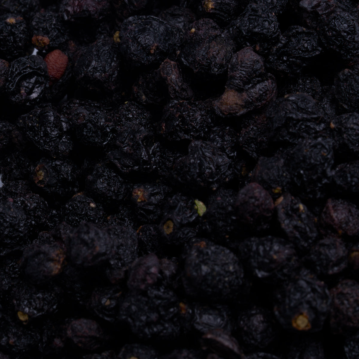 Eldertonic® (Dry Elderberries)