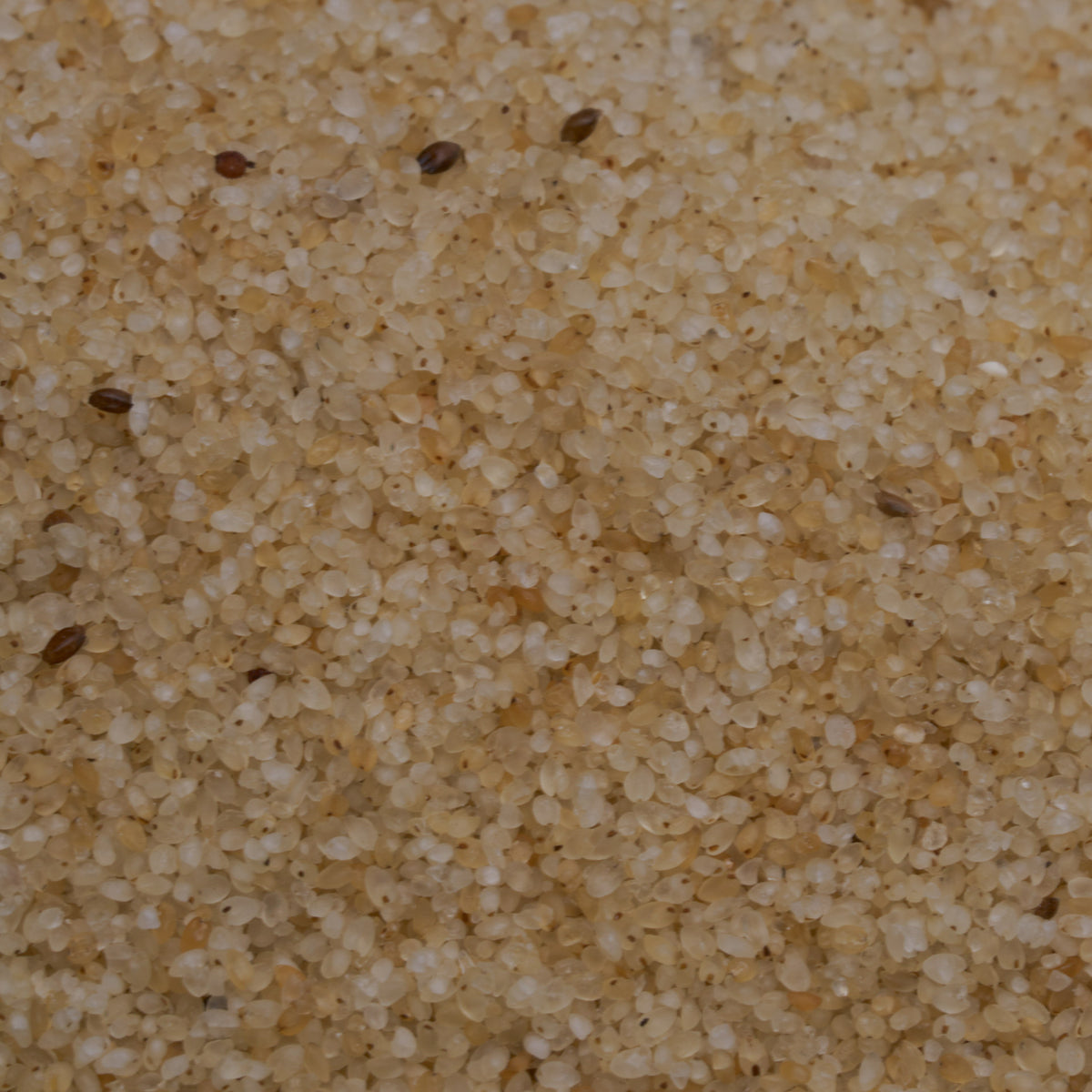 Fonio® (the Seed of the Universe)