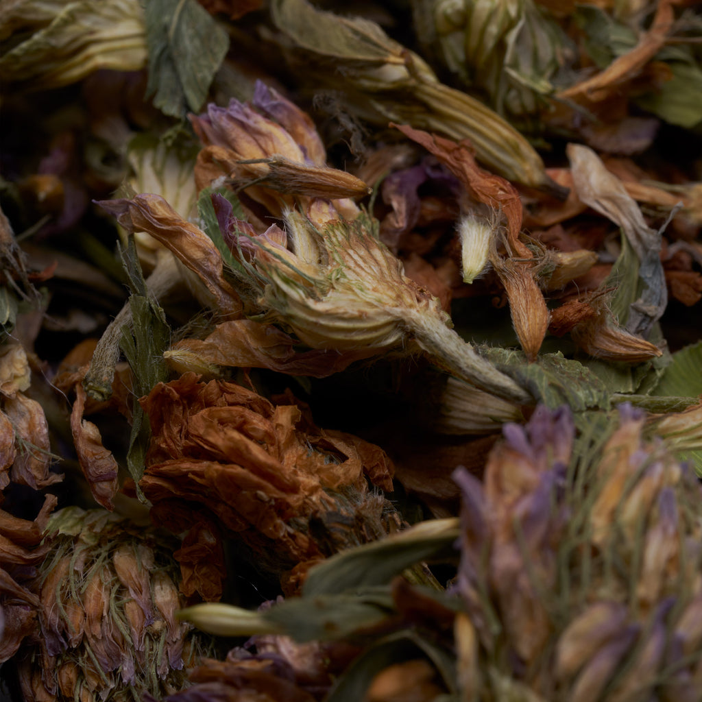 Red Clover ®