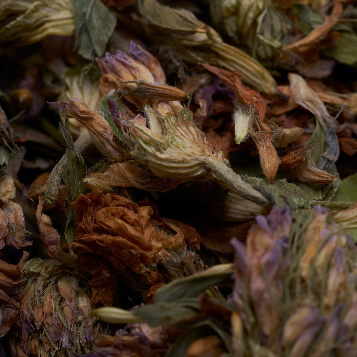 Red Clover ®